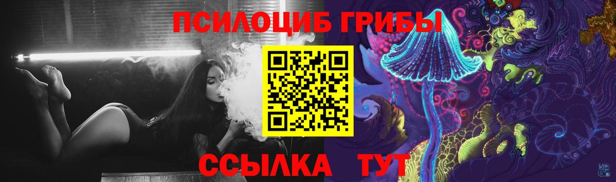 Аргун  Псилоцибиновые грибы Cubensis  Вход с VPN  Галлюциногенные грибы GOLDEN TEACHER 